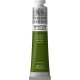 WINTON  SAP GREEN